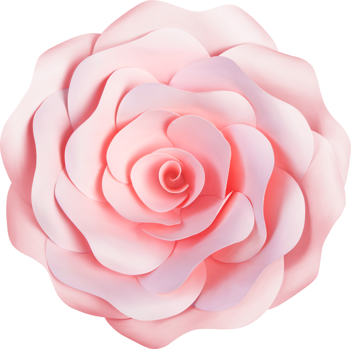 Rose Flower