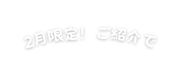 2月限定 ご紹介で